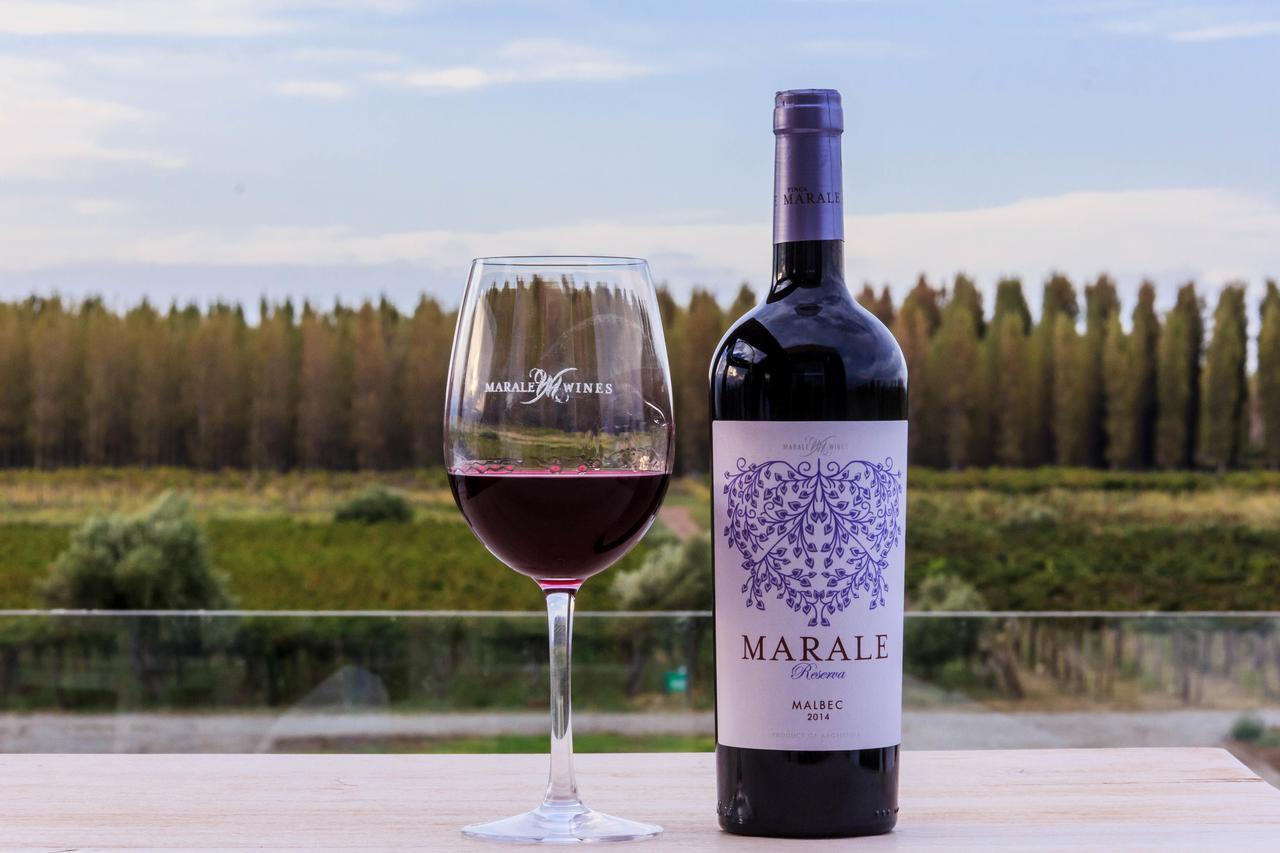 Marale Wines Hotel Boutique Villa Media Agua Exteriör bild